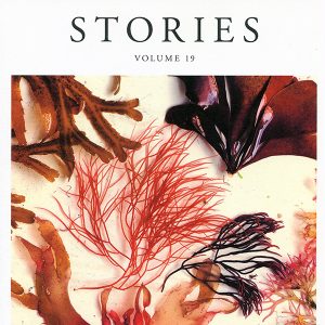photo of stories magazine cover volume 19